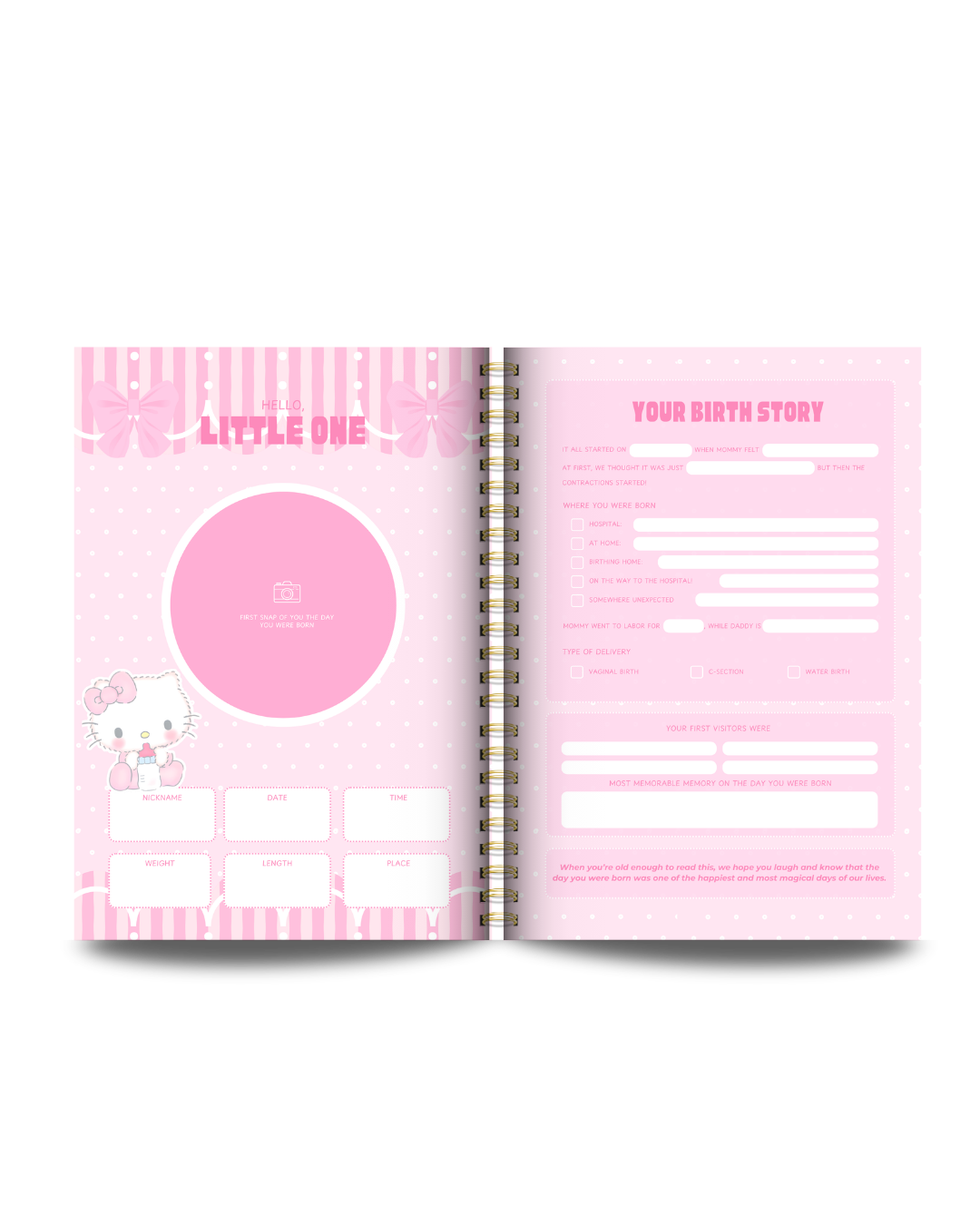 Hello Kitty Theme