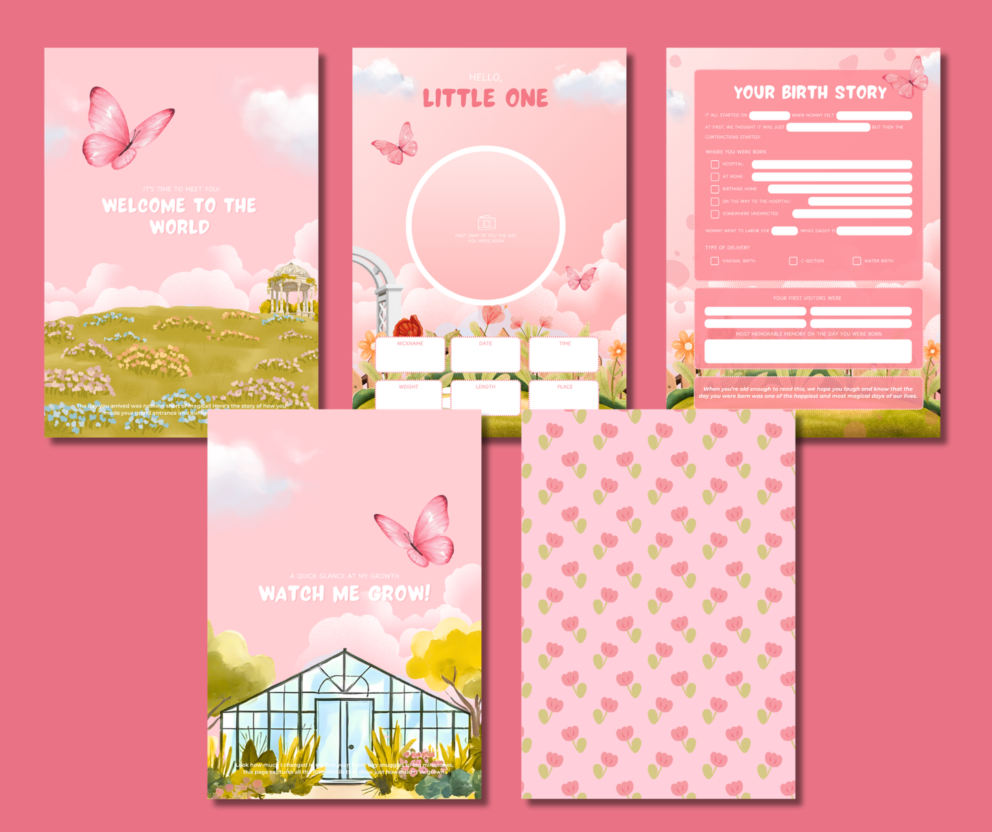 Butterfly Garden Baby Memory Book