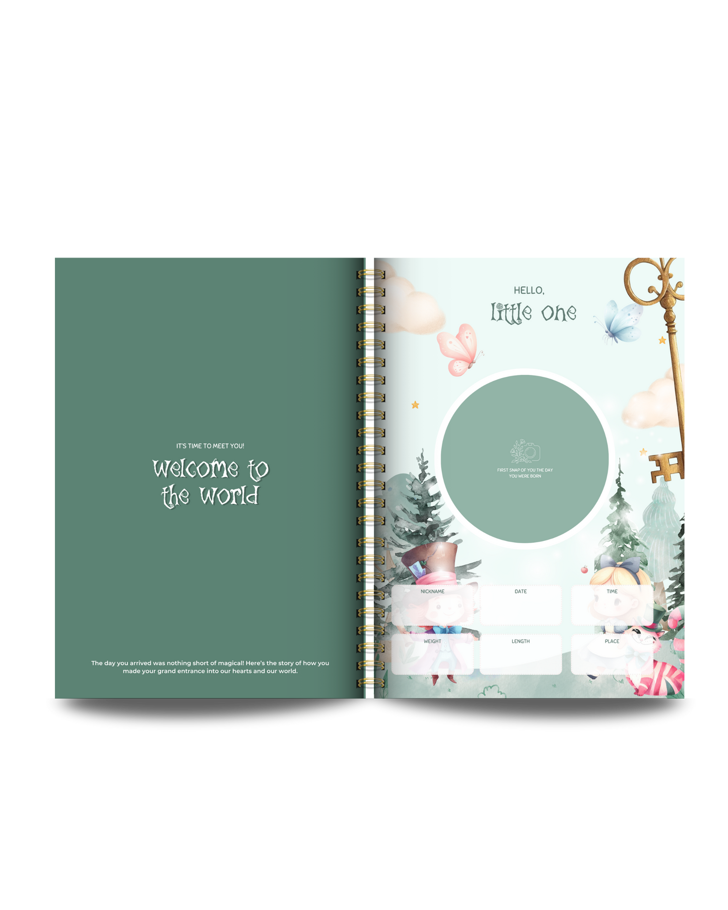 Enchanted Wonderland Baby Memory Book