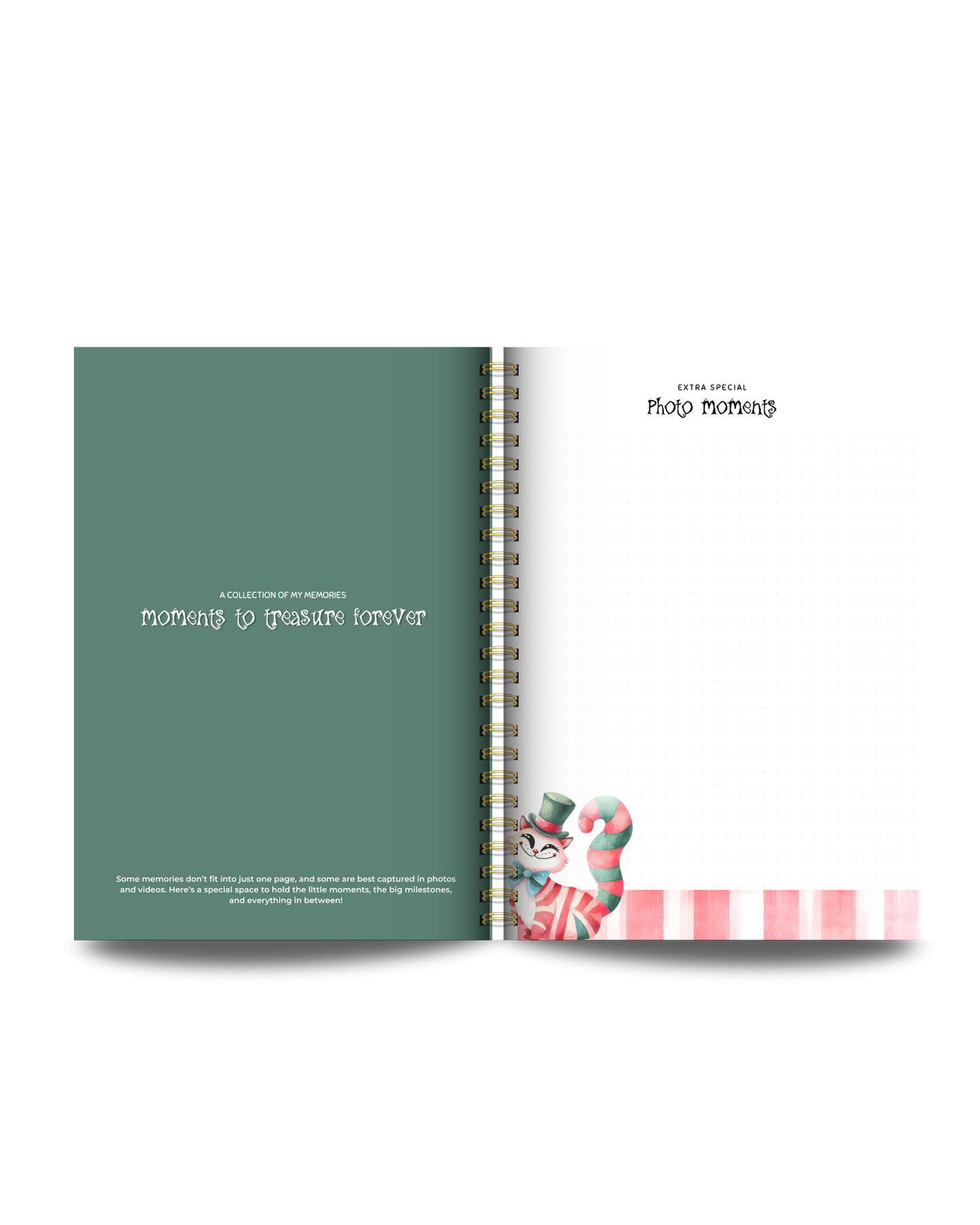 Enchanted Wonderland Baby Memory Book